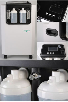 110/230VAC de medische Concentrator van de Rangzuurstof 10 Liter per Minuut met Nebulization