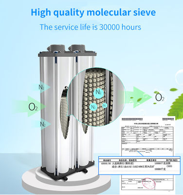 220V medische Draagbare Zuurstofconcentrator 5 Liter per Minuut