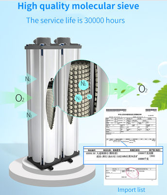 93% zuiverheid van het de Concentratorhuis van de 5 Literzuurstof Concentrator van de het Gebruiks de Mobiele Zuurstof