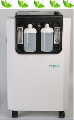 Duelstroom 10 Liter 10 Mobiele de Zuurstofconcentrator van Lpm met Intelligent Configuratiescherm