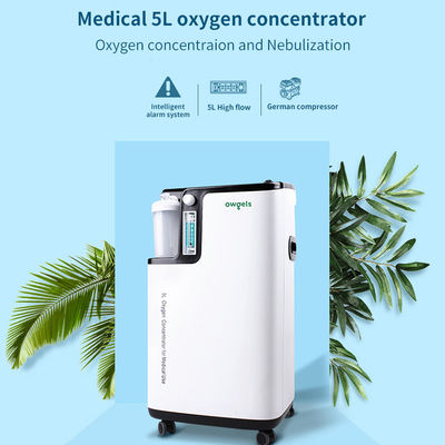 Draagbare van de de Hoge Zuiverheids5l Zuurstof van 96% de Concentrator Medische Rang met geringe geluidssterkte
