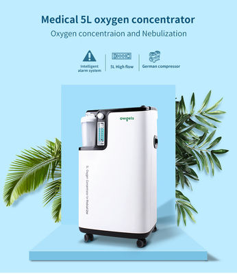 220V medische Draagbare Zuurstofconcentrator 5 Liter per Minuut