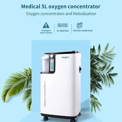 Medisch FDA met geringe geluidssterkte de Concentratorverstuiver van de 5 Literzuurstof